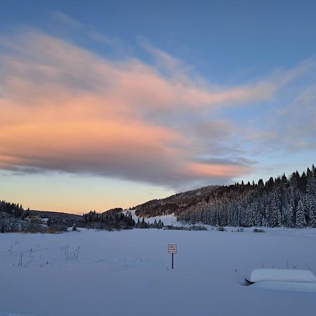 Au Coeur Du Lapidaire Septmoncel-Les-Molunes Buitenkant foto