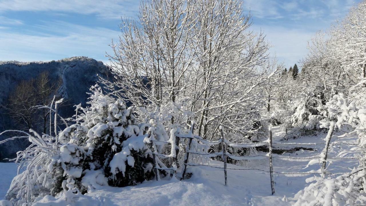 Au Coeur Du Lapidaire Septmoncel-Les-Molunes Buitenkant foto