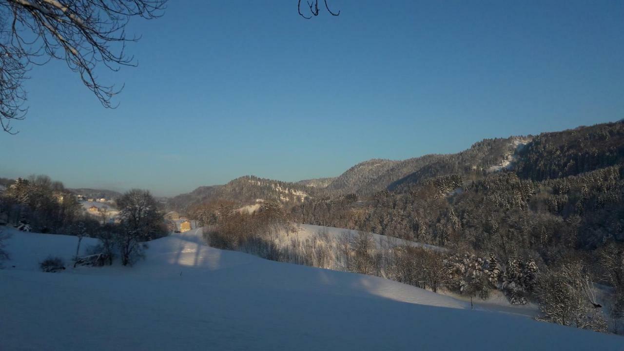 Au Coeur Du Lapidaire Septmoncel-Les-Molunes Buitenkant foto