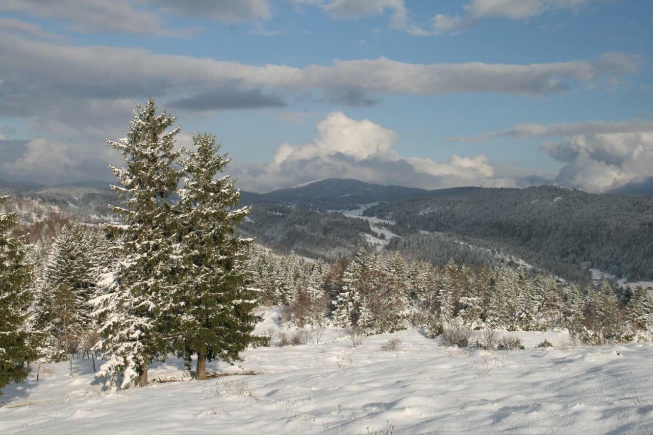 Au Coeur Du Lapidaire Septmoncel-Les-Molunes Buitenkant foto