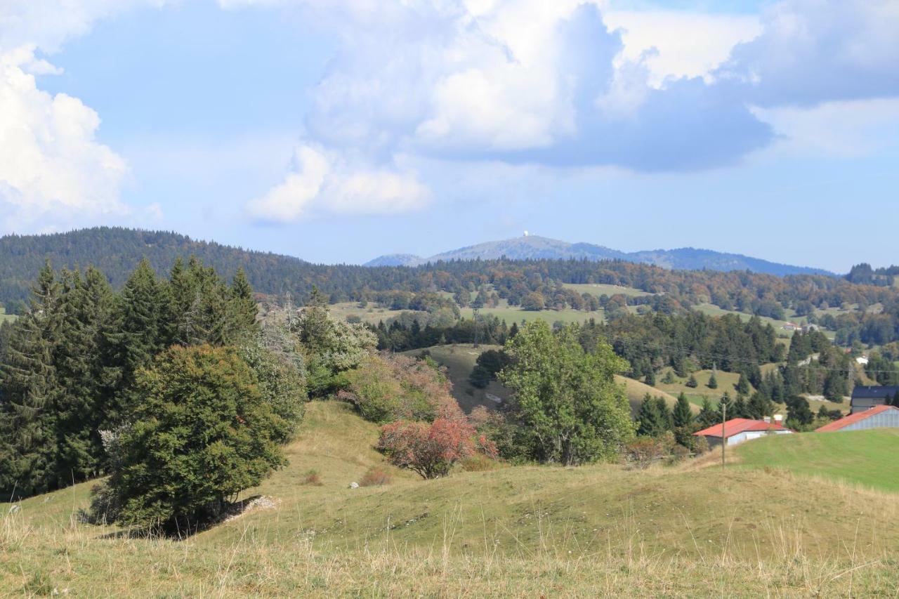Au Coeur Du Lapidaire Septmoncel-Les-Molunes Buitenkant foto